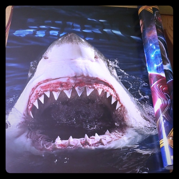 Posters - Picture 1 of 1